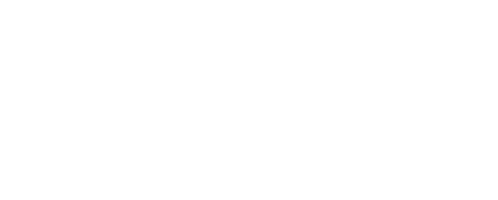 Wellness Icon