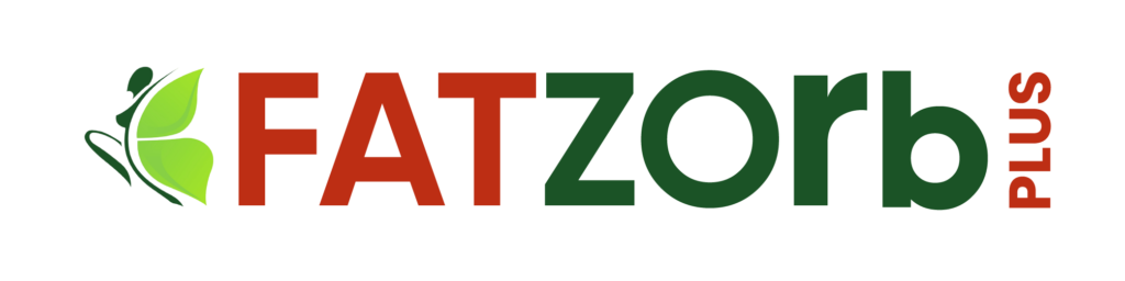 FatZOrb Logo