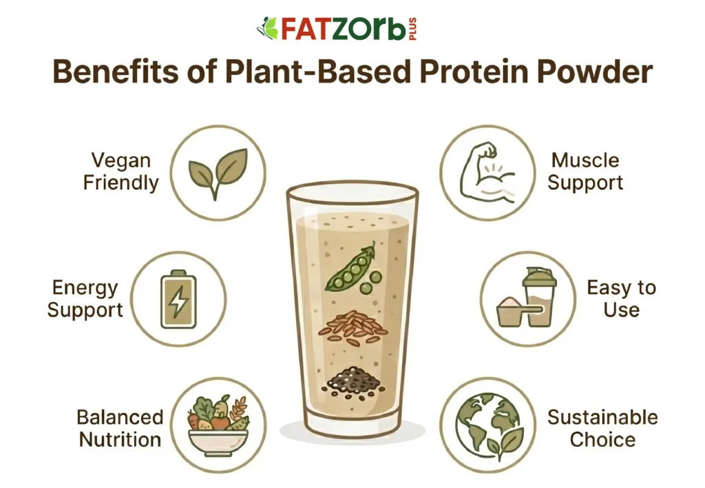 Benefits of Plant Based Protein Powder